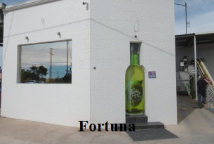 21 Hinfahrt (1)