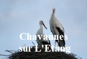 Chavannes sur L Etang