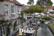 Dohle 23 (7)