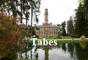 Tabes-2019--9-_1