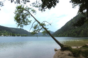 Xonrupt-Longemer (33)